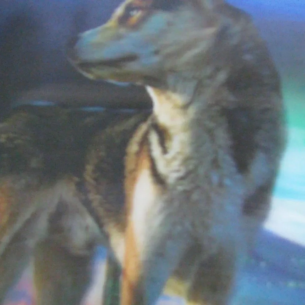 3-D Holographic Image - Hologram Wolves